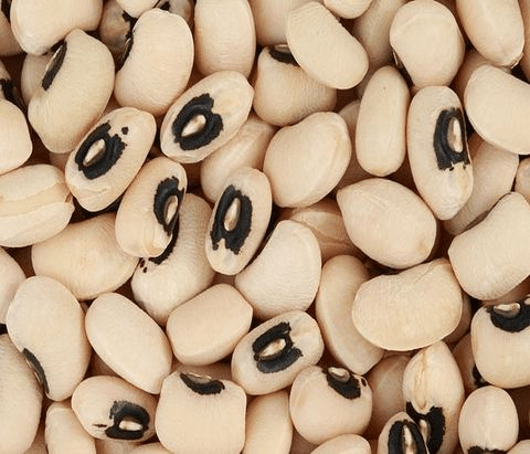 Sokoto (White) Beans